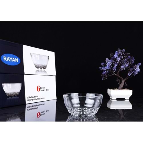 RAYAN KASE 6LI ( TURKEY BOWL) 55224 x8x