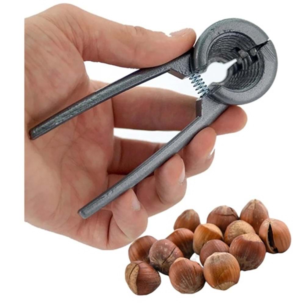 Real Özs Fındık Kıracağı