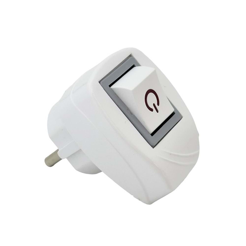 Topraklı Anahtarlı Erkek Fiş