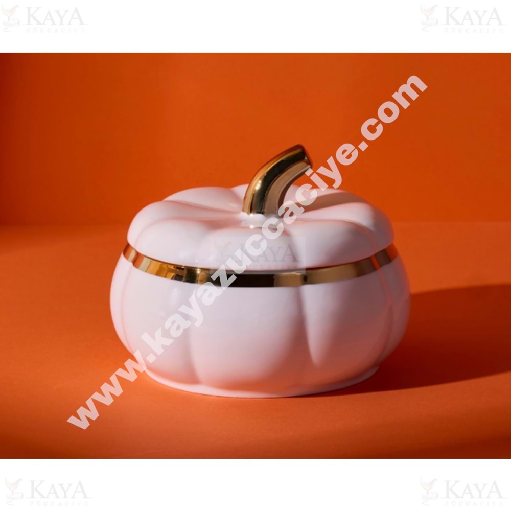 PEROTTİ PORSELEN KABAK KAPAKLI SAKLAMA KABI MEDİUM 1*18