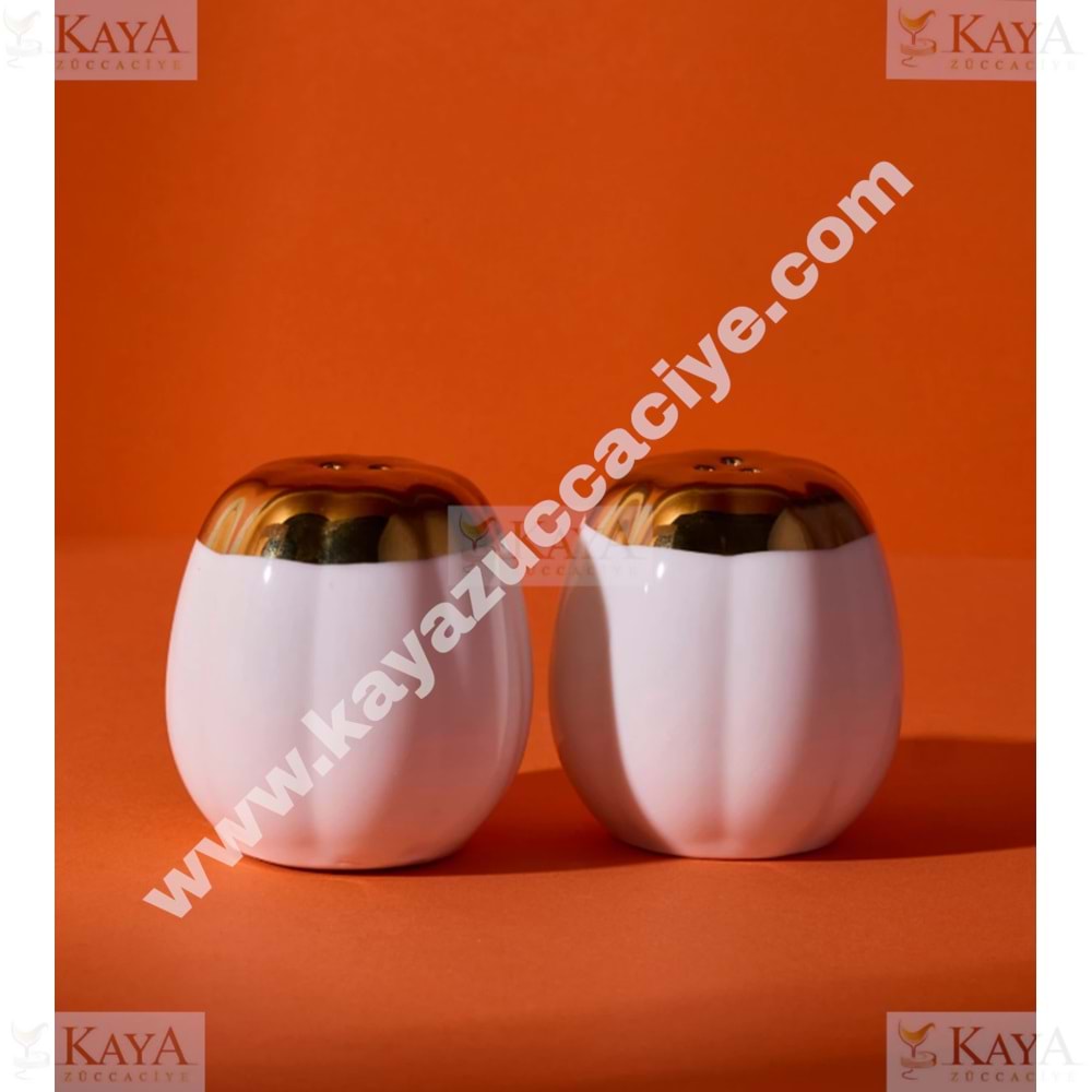 PEROTTİ PORSELEN KABAK TUZLUK & BİBERLİK 2 Lİ SET 1*12