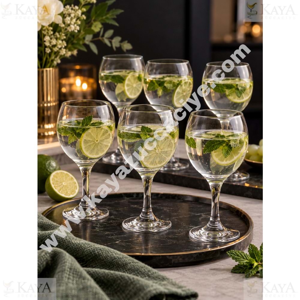 PAŞABAHÇE KADEH BISTRO AYAKLI BARDAK 6 LI 290 CC 1*4