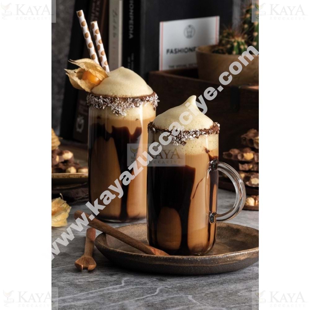 PAŞABAHÇE KULPLU BARDAK İCONİC 2 Lİ KULPLU BARDAK 1*12