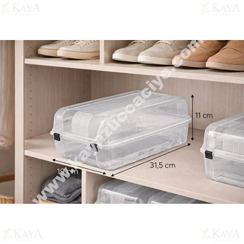 BEE HOME AYAKKABI KUTUSU BAYAN 1*24