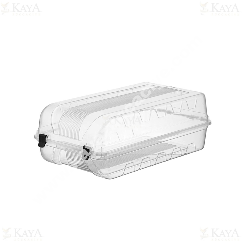 BEE HOME AYAKKABI KUTUSU ERKEK 1*24