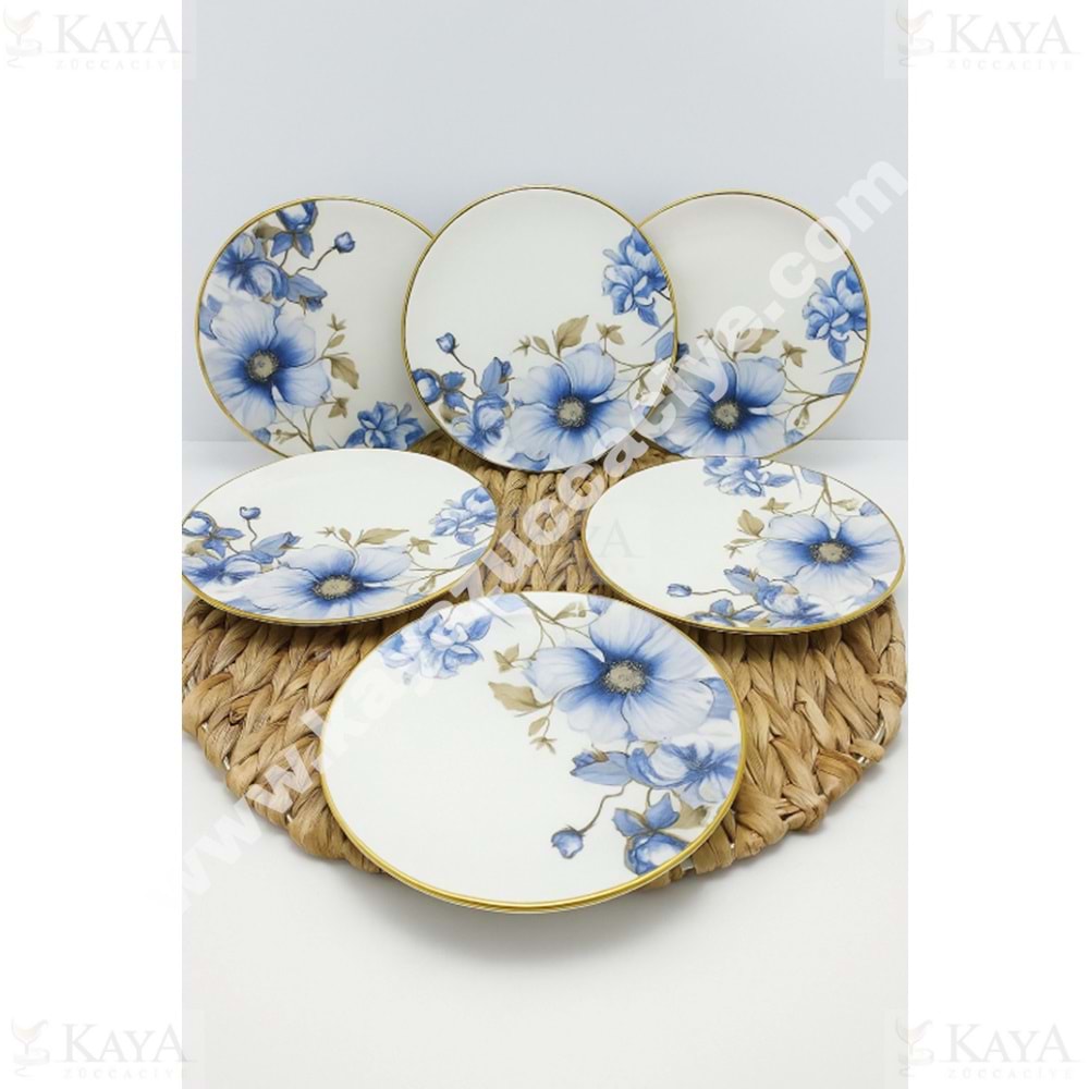 ÜLGER AŞİYAN PASTA TABAĞI 6 LI 1*6