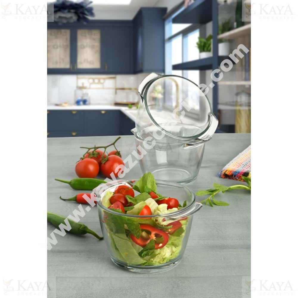 KAVEH LEO KAPAKLI CAM TENCERE 1*12