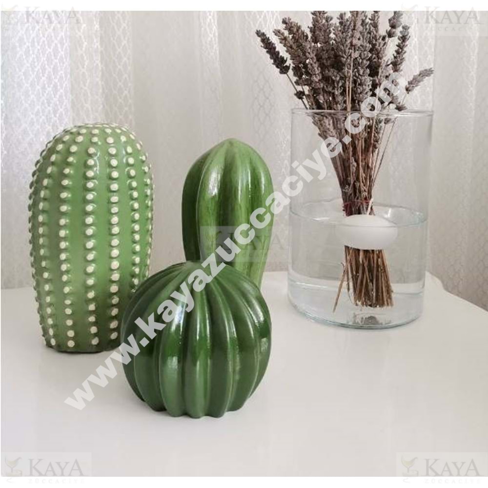 GLD SERAMİK İKEA MODEL 3 LÜ KAKTÜS SET 1*24