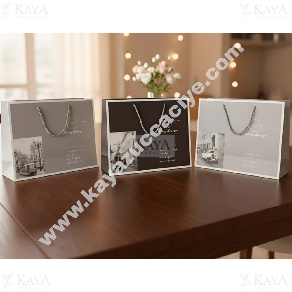 BZD IVORY HEDİYELİK ÇANTA DESENLİ 24x20 CM 1*12