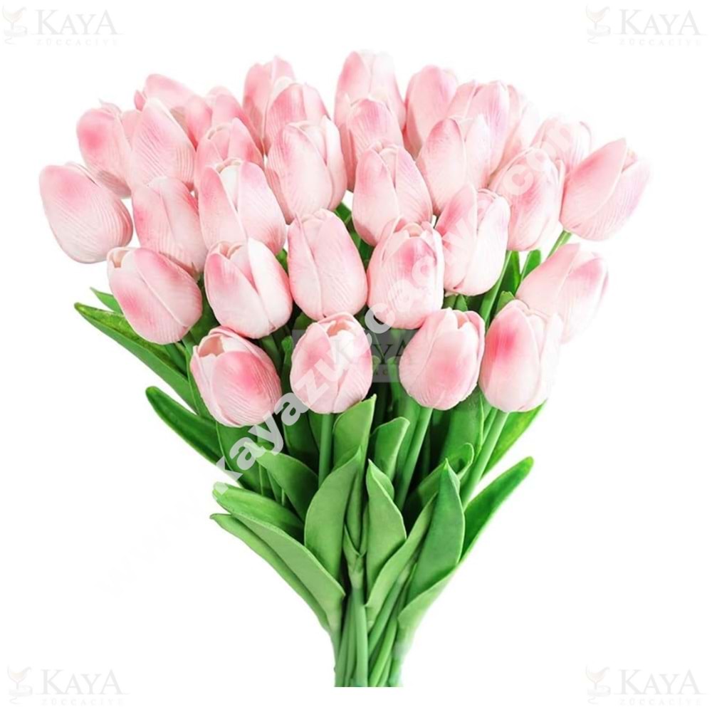BZD IVORY ÇİÇEK ISLAK LALE 6 LI 1*34