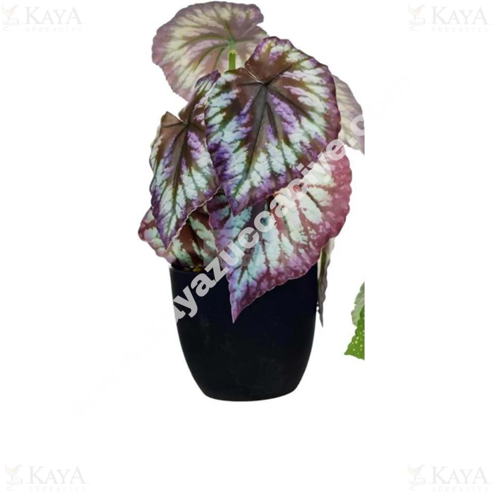KRD SAKSILI YAPAY CALADIUM ÇİÇEĞİ 1*25