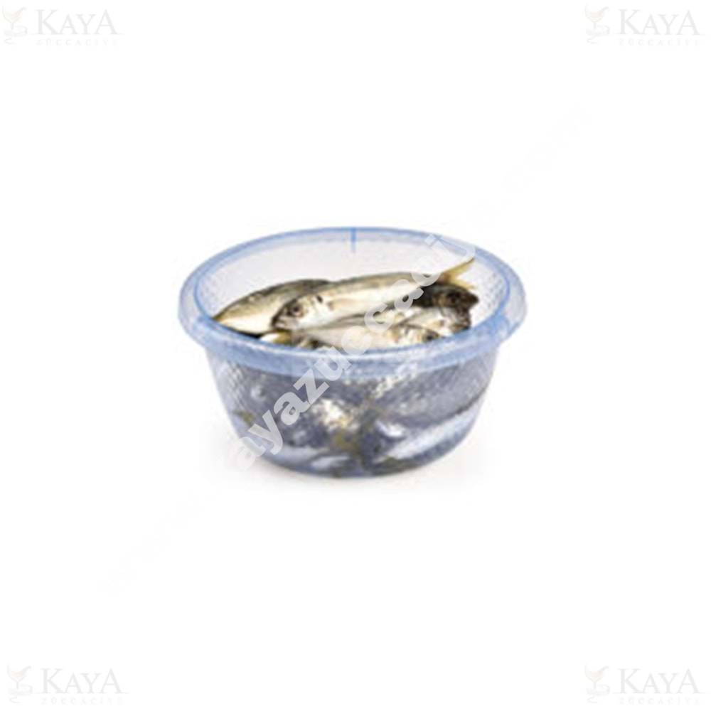 ÜÇSAN BADYA SAFİR DESEN 3 L 1*6