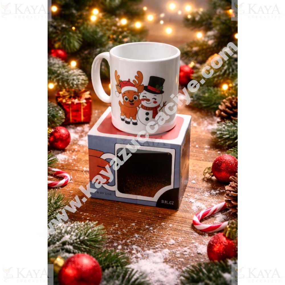 MANGO PORSELEN KUPA YILBAŞI MODEL 1*48