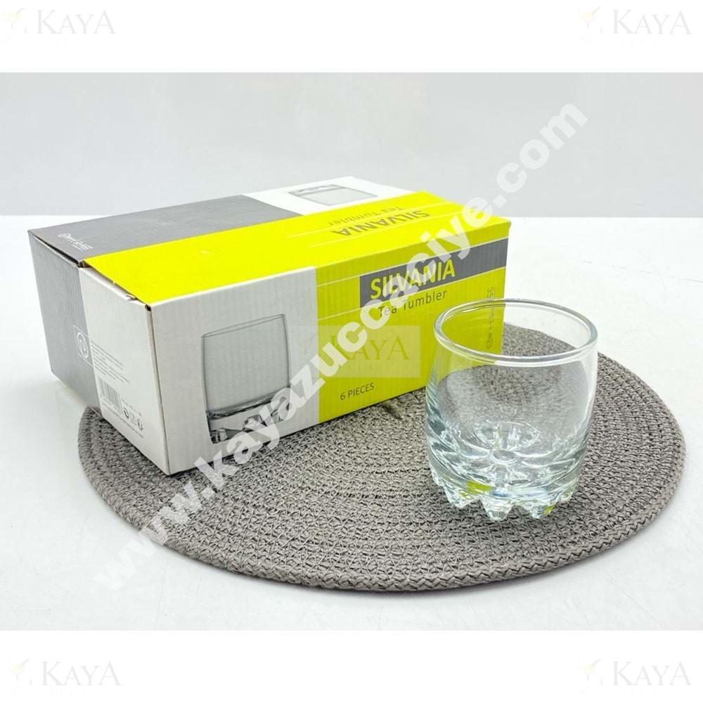 RAYAN MEŞRUBAT SILVANIA TEA TUMBLER 1*8