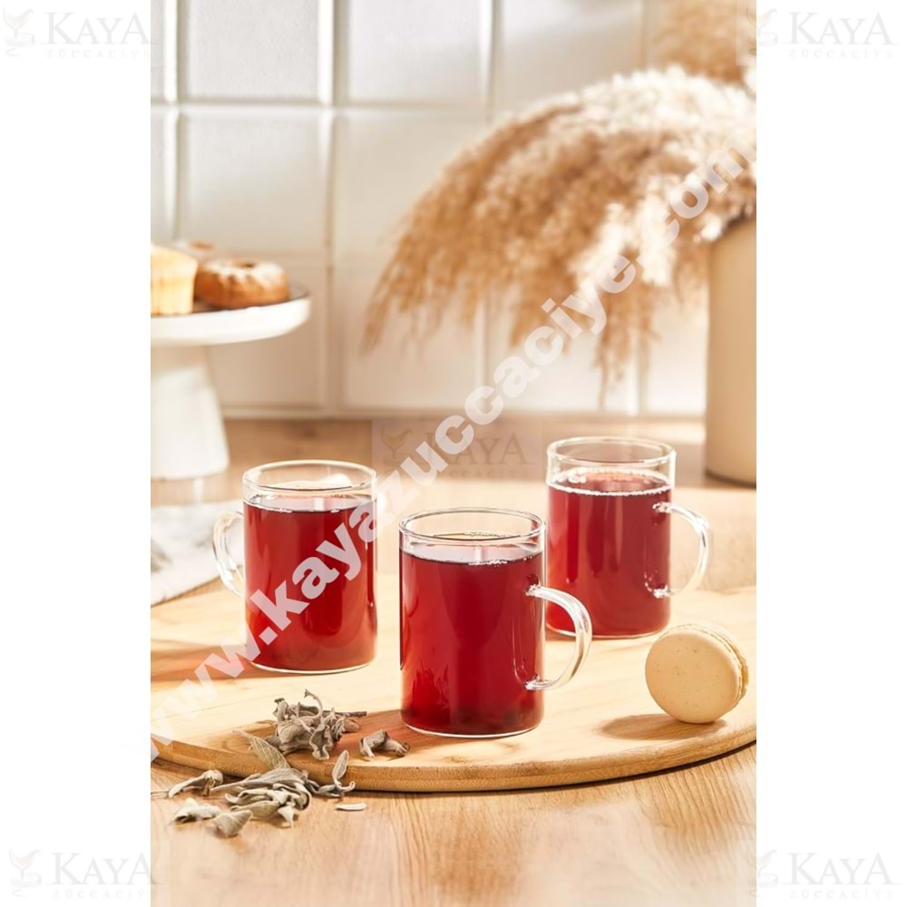 PBT HOME CAM BARDAK BOROSİLİKAT KULPLU 6 LI 1*24