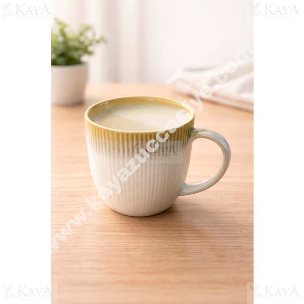 PORLİNE PORSELEN SUN KUPA 1*24