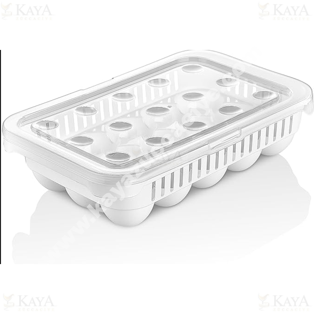 SMARTWARE YUMURTA SAKLAMA KABI 15 Lİ 1*24