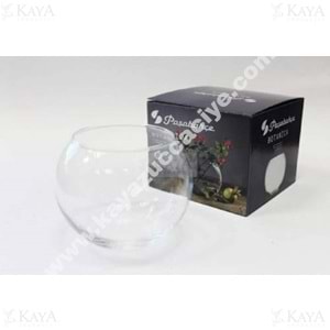 PAŞABAHÇE FANUS BOTANICA VAZO KÜÇÜK BOY 1*12