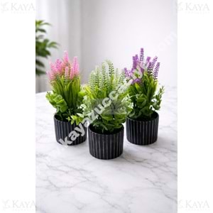 EGE ÇİÇEK SAKSILI LAVANTA BAHÇESİ ÇİÇEK 1*36