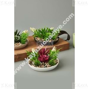 EVA SAKSIDA SKULENT ÇİÇEK 1*6