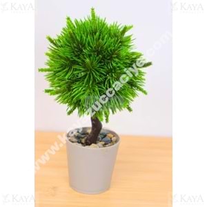 EVA SAKSIDA YILBAŞI TOP AĞACI 1*20