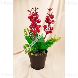 MLN ÇİÇEK SAKSILI KOKİNA ÇİÇEĞİ ZYV25 1*30