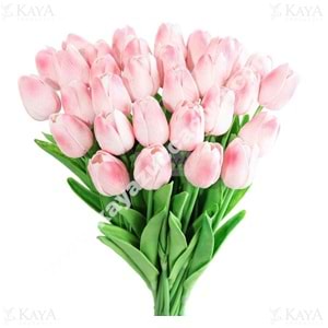 BZD IVORY ÇİÇEK ISLAK LALE 6 LI 1*34