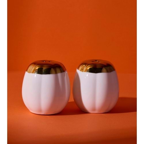 PEROTTİ PORSELEN KABAK TUZLUK & BİBERLİK 2 Lİ SET 1*12