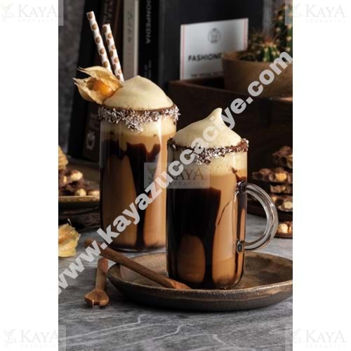 PAŞABAHÇE KULPLU BARDAK İCONİC 2 Lİ KULPLU BARDAK 1*12