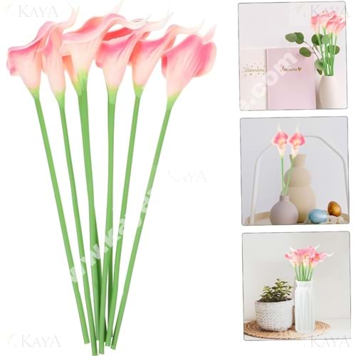 BZD IVORY ÇİÇEK ISLAK ZAMBAK 6 LI PAKET 1*34