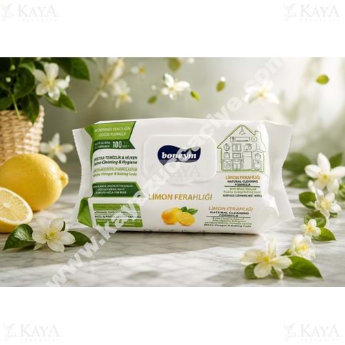 BONEYM ÇOK AMAÇLI YÜZEY TEMİZLİK HAVLUSU LİMON 100 LÜ 1*12