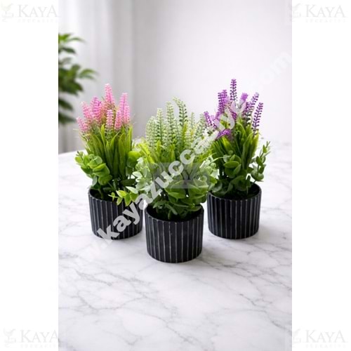 EGE ÇİÇEK SAKSILI LAVANTA BAHÇESİ ÇİÇEK 1*36