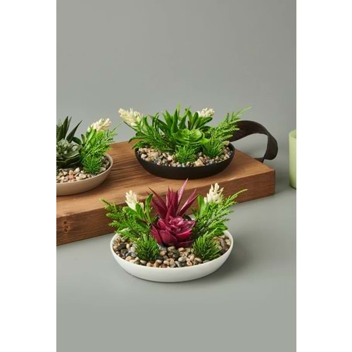 EVA SAKSIDA SKULENT ÇİÇEK 1*6