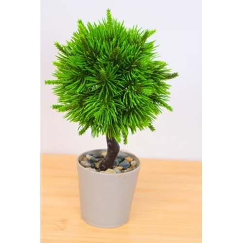 EVA SAKSIDA YILBAŞI TOP AĞACI 1*20