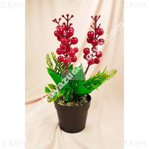 MLN ÇİÇEK SAKSILI KOKİNA ÇİÇEĞİ ZYV25 1*30