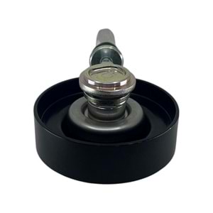 VELSATİS 3.5 V6 ALTERNATÖR GERGİ RULMANI